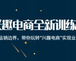 兴趣电商全新训练营:打破品销边界,带你玩转“兴趣电商“实现业务增长-赚钱驿站