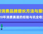 新消费品牌增长方法与案例精华课:20年消费赛道的经验与坑全收录-赚钱驿站