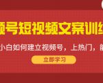 视频号短视频文案训练营：0基础小白如何建立视频号，上热门，能卖货！-赚钱驿站