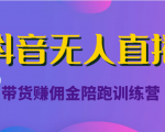 抖音无人直播带货赚佣金陪跑训练营（价值6980元）-赚钱驿站