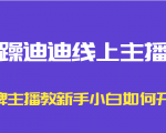 暴躁迪迪线上主播课，金牌主播教新手小白如何开播-赚钱驿站