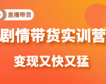 《剧情带货实训营》目前最好的直播带货方式,变起现来是又快又猛(价值980元)-赚钱驿站