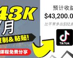 2022抖音国际版Tiktok赚钱项目:每天上传一个视频就轻松月入$43200-赚钱驿站