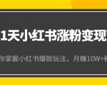21天小红书涨粉变现营(第4期):带你掌握小红书爆款玩法,月赚10W+秘密-赚钱驿站