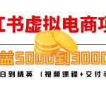 小红书虚拟电商项目:从小白到精英 月收益5000到30000 (视频课程+交付手册)-赚钱驿站