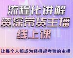 婉婉-主播拉新实操课,流程化讲解资深带货主播,让每个人都成为经得起考验的主播-赚钱驿站