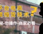 外面收费2980的全平台电商白嫖撸货技术(仅揭秘勿操作-商家防范必看)-赚钱驿站