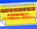 21天视频号变现特训营:单视频播放量2亿+3个月涨粉30w+变现20w+(第14期)-赚钱驿站