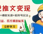 小说推文训练营:引流技巧+爆款实操+矩阵号玩法,百倍效益、百万播放秘笈-赚钱驿站