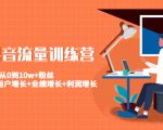 美业抖音流量训练营:从0到10w+粉丝 让你的门店用户增长+业绩增长+利润增长-赚钱驿站