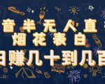 抖音半无人直播烟花表白,日赚几十到几百(教程+视频模板素材)-赚钱驿站