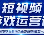 短视频游戏赚钱特训营，0门槛小白也可以操作，日入1000+-赚钱驿站