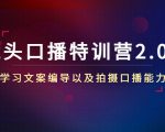 镜头口播特训营2.0版,学习文案编导以及拍摄口播能力(50节课时)-赚钱驿站