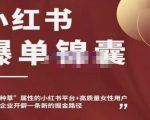 小红书爆单锦囊,自带种草属性+高质量女性用户,为你的企业开辟一条新的掘金路径-赚钱驿站
