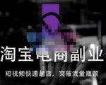 蓝Sir派·淘宝短视频快速起店,替代传统搜索方式,学会做一个不一样的淘宝店-赚钱驿站