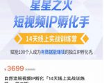 瑶瑶·自然流短视频IP孵化第二期,14天线上实战训练营,赋能100个人成为有数据能赚钱的独立IP孵化手-赚钱驿站