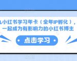 厦九九小红书学习年卡(全年IP孵化),沉浸式学习,一起成为有影响力的小红书博主-赚钱驿站