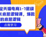 大圣淘宝天猫电商1-7层级盈利增长底层逻辑课，爆款的底层逻辑-赚钱驿站