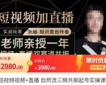 张越·短视频+直播,自然流三频共振起号实操课,短视频所有流量玩法讲解-赚钱驿站