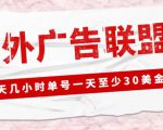外面收费1980的最新国外LEAD广告联盟搬砖项目,单号一天至少30美金【详细玩法教程】-赚钱驿站
