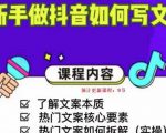 新手做抖音如何写文案,手把手实操如何拆解热门文案-赚钱驿站