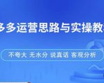 拼多多店铺运营思路与实操教程,快速学会拼多多开店和运营,少踩坑,多盈利-赚钱驿站