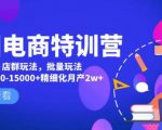 美团电商特训营:美团·店群玩法,无脑铺货月产出6000-15000+精细化月产2w+-赚钱驿站