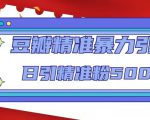 豆瓣精准暴力引流,日引精准粉500+【12课时】-赚钱驿站