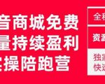 抖音商城搜索持续盈利陪跑成长营,抖音商城搜索从0-1、从1到10的全面解决方案-赚钱驿站