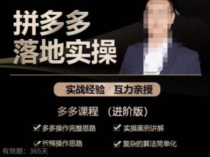 拼多多实战篇·落地实操：多多操作完整思路+实操案例讲解+拆解操作思路+复杂的算法简单化-赚钱驿站