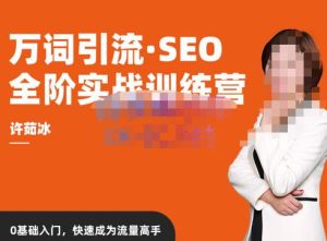 许茹冰·万词引流-SEO全阶实战训练营,0基础入门,快速成为流量高手-赚钱驿站