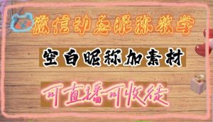 微信动态昵称设置方法,可抖音直播引流,日赚上百【详细视频教程+素材】-赚钱驿站