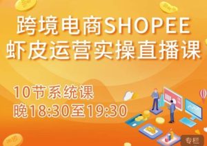 跨境电商Shopee虾皮运营实操直播课,从零开始学,入门到精通(10节系统课)-赚钱驿站