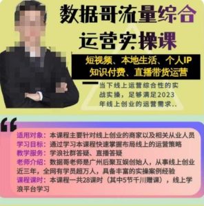 数据哥流量综合运营实操课:短视频、本地生活、个人IP知识付费、直播带货运营-赚钱驿站