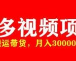多多带货视频快速50爆款拿带货资格,搬运带货,月入30000【全套脚本+详细玩法】-赚钱驿站