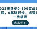 2023拼多多0-100实战运营教程,0基础起步,运营知识一手掌握-赚钱驿站