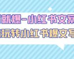 一写就爆-小红书文案课:带你玩转小红收爆文写作(45节课)-赚钱驿站