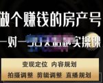刘广标·同城房产号线上陪跑课，拍摄、剪辑、写文案、直播，做一个具有潜力价值的房产号-赚钱驿站