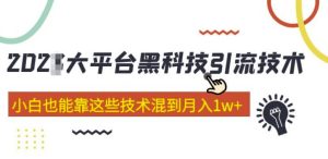 大平台黑科技引流技术，小白也能靠这些技术混到月入1w+(2022年的课程）-赚钱驿站