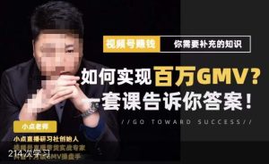 视频号变现进阶课，视频号六大变现模式，对平台的各项功能详细讲解，让你快速选择赛道-赚钱驿站