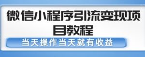 微信小程序引流变现项目教程,当天操作当天就有收益,变现不再是难事-赚钱驿站