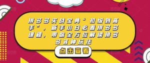 拼多多实战宝典“初级到高手”，新手小白必看拼多多课程，带你全方位解读拼多多各种玩法-赚钱驿站
