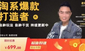 锋投老叶全店动销,淘系干货汇总,各种玩法,淘系爆款打造者-赚钱驿站