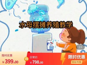 水母摆摊教学,包括摆摊技术、养殖技术、拿货渠道、抖音运营等-赚钱驿站
