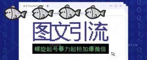 2023年价值1980的图文引流创业粉螺旋起好技术暴力起粉加爆微信-赚钱驿站