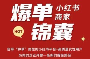无畏·小红书商家爆单锦囊,掌握小红书各大规则,快速精准抢占行业和市场-赚钱驿站