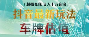 抖音最新无人直播变现直播车牌估值玩法项目,轻松日赚几百+【详细玩法教程】-赚钱驿站
