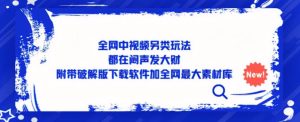 全网中视频另类玩法,都在闷声发大财,附带破解版下载软件加全网最大素材库-赚钱驿站
