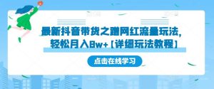 最新抖音带货之蹭网红流量玩法,轻松月入8w+【详细玩法教程】-赚钱驿站