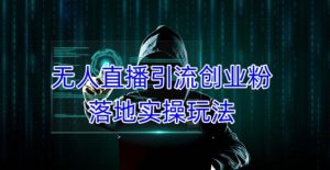 外面收费3980的无人直播引流创业粉落地实操玩法,单日引100+精准创业粉-赚钱驿站